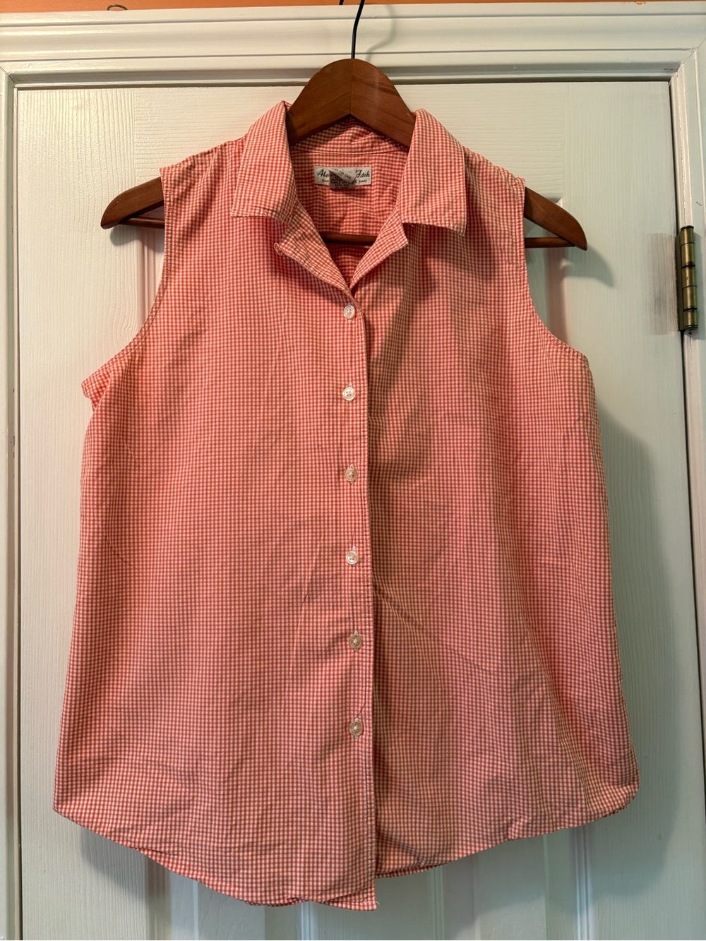 2 Abercrombie & Fitch Gingham Sleeveless Button-Down Tops